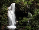 Uganda