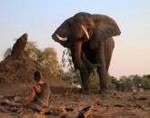 Walking Safari mit Stretch Walking Safari mit Stretch