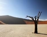 Dead Vlei Dead Vlei